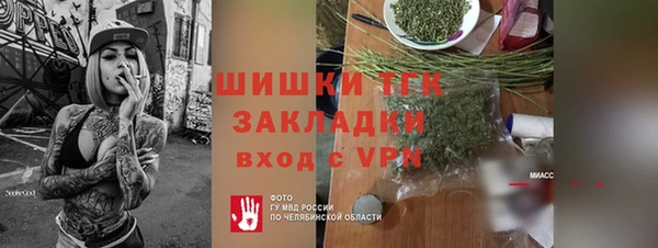гидра Бронницы