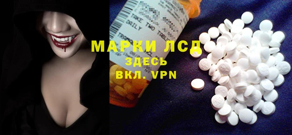 спайс Богданович