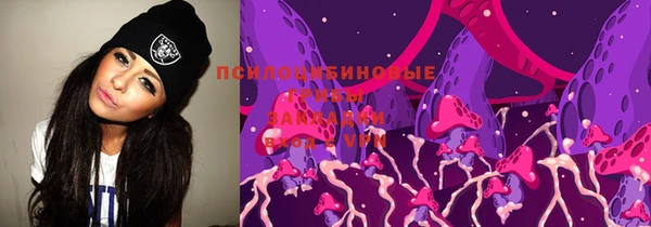 гидропоника Бородино