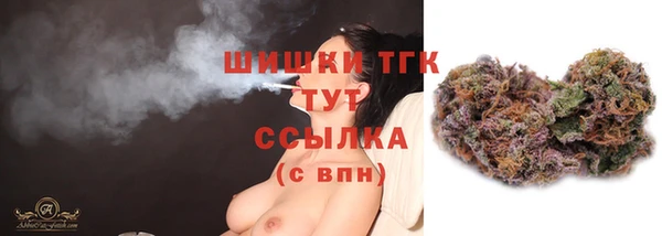 гидропоника Бородино