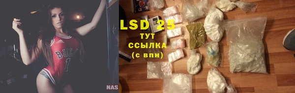 спайс Богданович