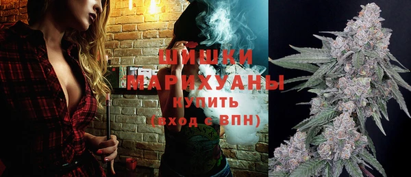 гидропоника Бородино