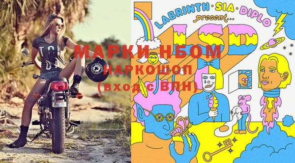 гидропоника Бородино