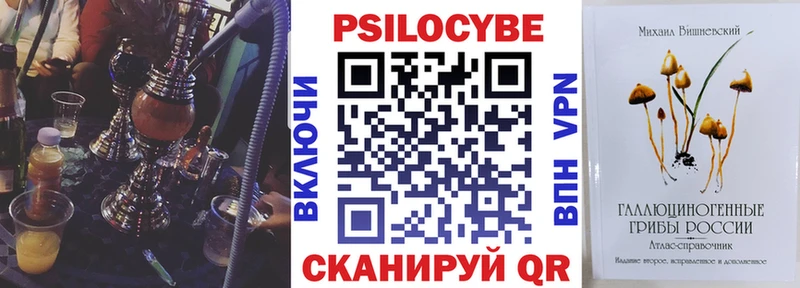 Галлюциногенные грибы Psilocybe  Купить  Осинники 